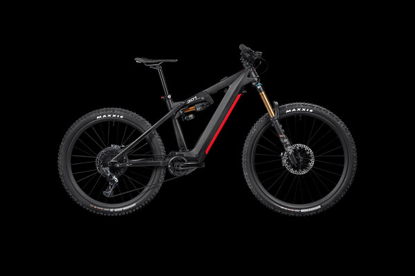 E-Mountainbike Liteville 301 MK2 Limited