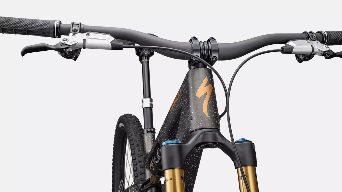 S-Works Stumpjumper 15