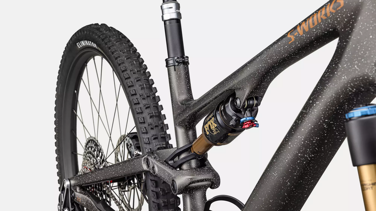 S-Works Stumpjumper 15