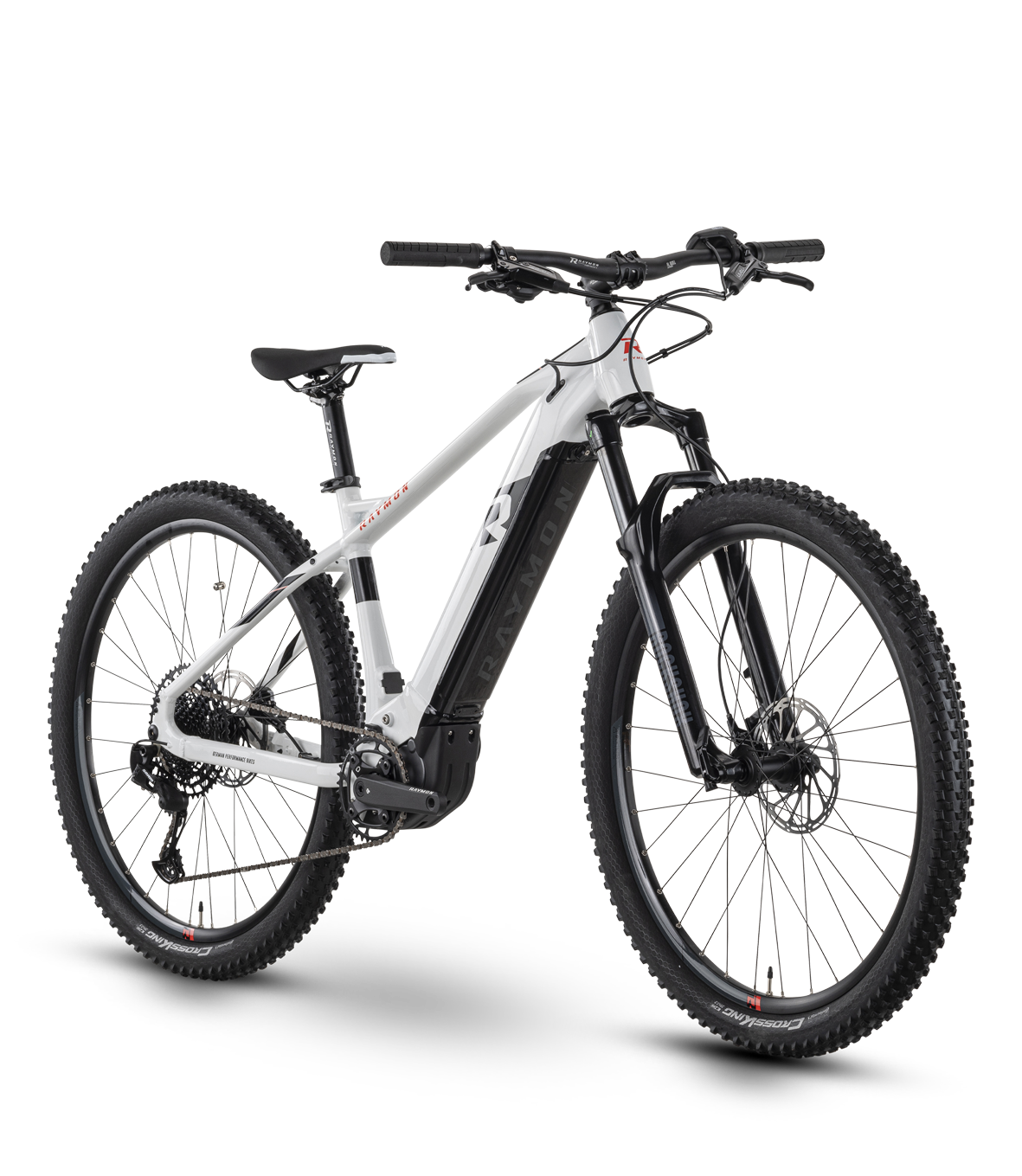 E-Mountainbike Raymon HardRay E 7.0 29