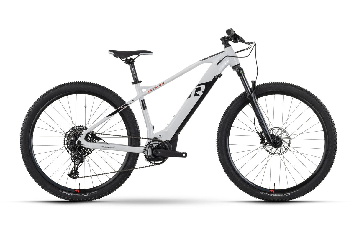 E-Mountainbike Raymon HardRay E 7.0 29